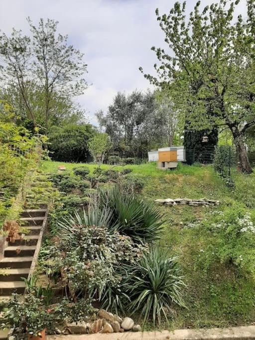 Villa Le 16 Toulouse Exterior foto